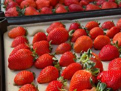 -南坛综合农贸市场