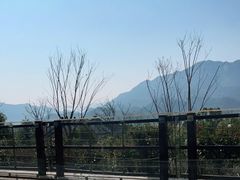 -杭州桐庐康莱德酒店西餐厅-舍