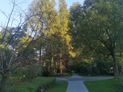 -西郊宾馆·1921餐厅