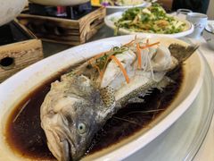 清蒸鲈鱼-大鸭梨烤鸭店(金顶街店)