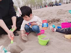-东郊湿地公园