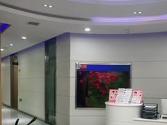 -雅悦齿科(顾村公园店)