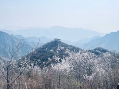 -大岭沟猕猴桃谷风景区