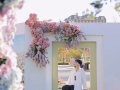 -荷兰花海