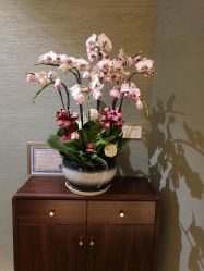 -娇玫荟SPA