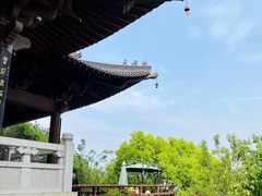 -杭州半山国家森林公园