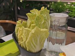 -菌小白·野生菌火锅(时尚天河店)