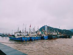 -沈家门渔港