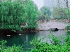 -长白岛森林公园