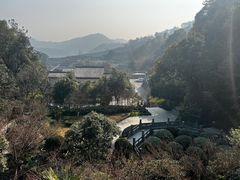 -十八棵（老龙井）御茶园(老龙井店)