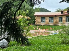 -哈尔滨北方森林动物园