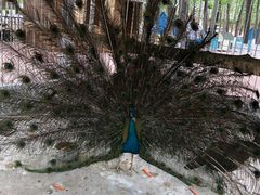 -蓝地时尚庄园(北京清河营地铁站店)