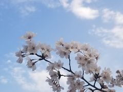 -南京邮电大学(仙林校区)