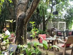 -Fern Forest Cafe
