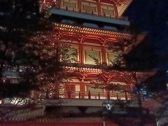 -新加坡佛牙寺龙华院