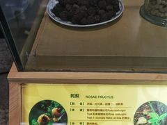 -贵州省植物园