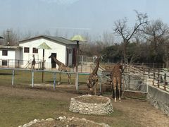 -西安秦岭野生动物园