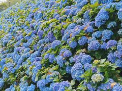 -苏州上方山国家森林公园