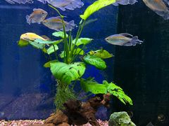 -沙沙哗啦海洋馆(华宇百花谷店)