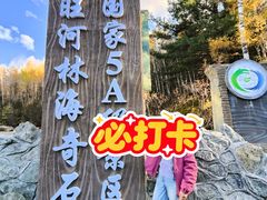 -汤旺河林海奇石景区