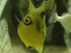 -亚龙湾海底世界