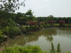 -武汉紫薇都市田园