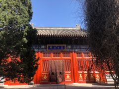 -北京艺术博物馆(万寿寺)