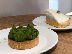 -猫里有甜