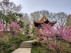 -河南省黄河迎宾馆