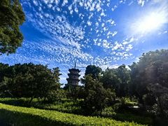 -斯丹姜母鸭·古法干香(泉州总店)