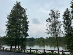 -海珠湖公园