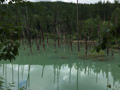 -青池