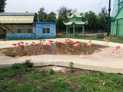 -秦皇岛野生动物园