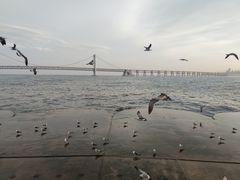 -星海广场