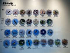 -大连市规划展示中心