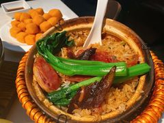 -肥仔文澳门猪骨煲(南京西路店)