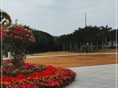 -华侨公园