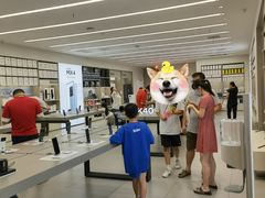 -小米之家汽车(永旺梦乐城店)