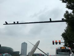 -南洋商业银行中国有限公司(上海分行)