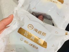 -海底捞火锅(公益西桥店)