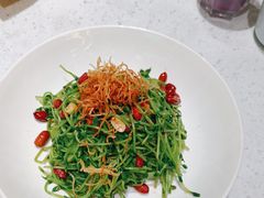 -青花椒花椒鱼(合生汇店)