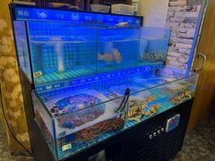 -龙图阁海鲜饭店