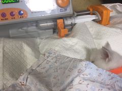 -北京佳信宠物医院
