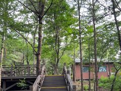 -沂蒙山旅游区龟蒙景区