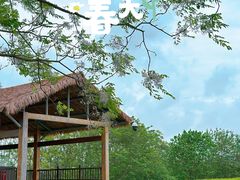 -良渚古城遗址公园