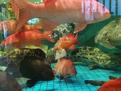 -聚福宝合苑食府(南头镇店)