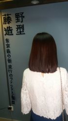 点击看大图 -藤野造型