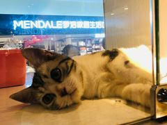 -乐宠宠物店(世纪金源店)