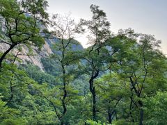 -泰山风景名胜区