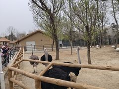 -大连森林动物园